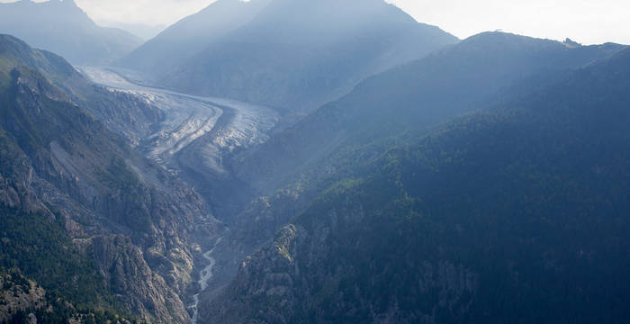 Blick auf den Aletschgletscher und -wald