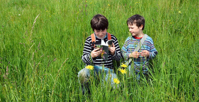 Deux garçons dans une praries flories