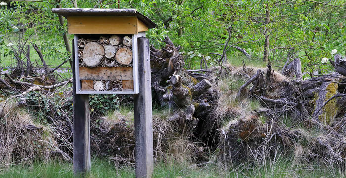 Asthaufen und Wildbienenhotels dienen verschiedensten Tieren als Unterschlupf und Nistplatz.