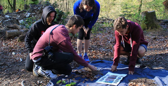 Junge Menschen betrachten Gegenstände aus dem Wald