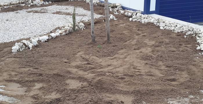 Vom Schottergarten zum Trockenstandort – über die Schotterschicht wird Sand aufgetragen. Vor dem Pflanzen einiger Initialstauden und der Einsaat werden 2 cm unkrautfreier Kompost aufgebracht.