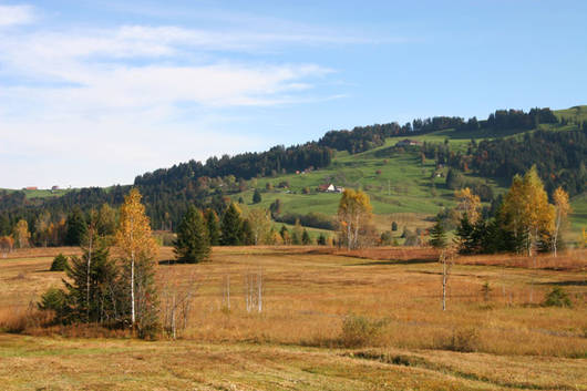 Das Schweizer Volk nahm am 6. Dezember 1987 mit grosser Mehrheit die Rothenthurm-Initiative zum Schutze der Moore und Moorlandschaften an.
