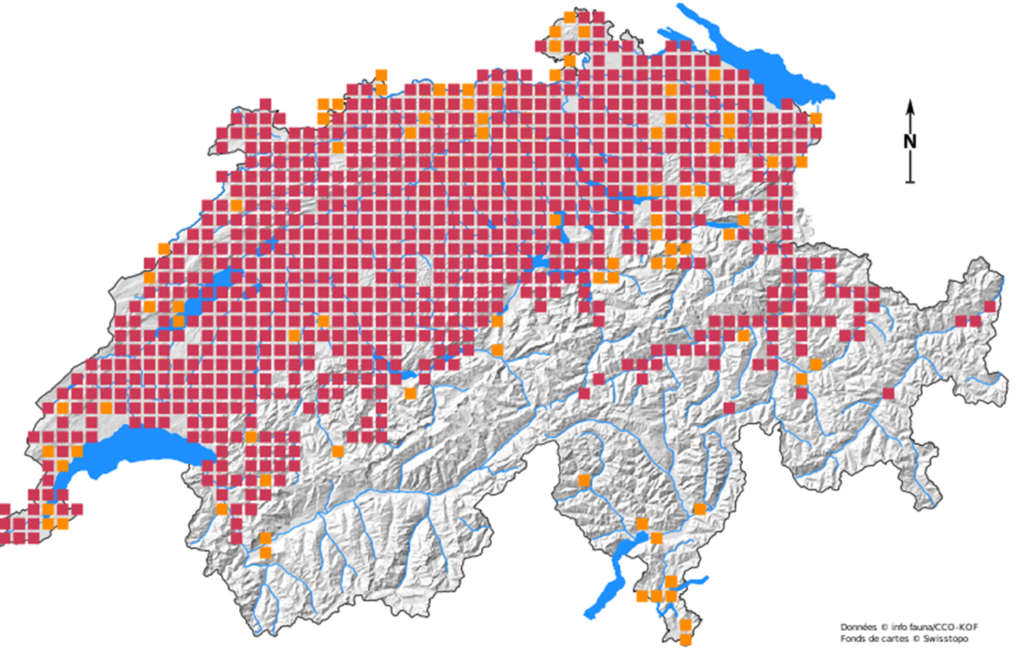 Verbreitungskarte Iltis in der Schweiz © Daten: info fauna, © Karte: swisstopo