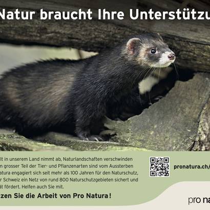 Inserat allgemeine Spende für Pro Natura